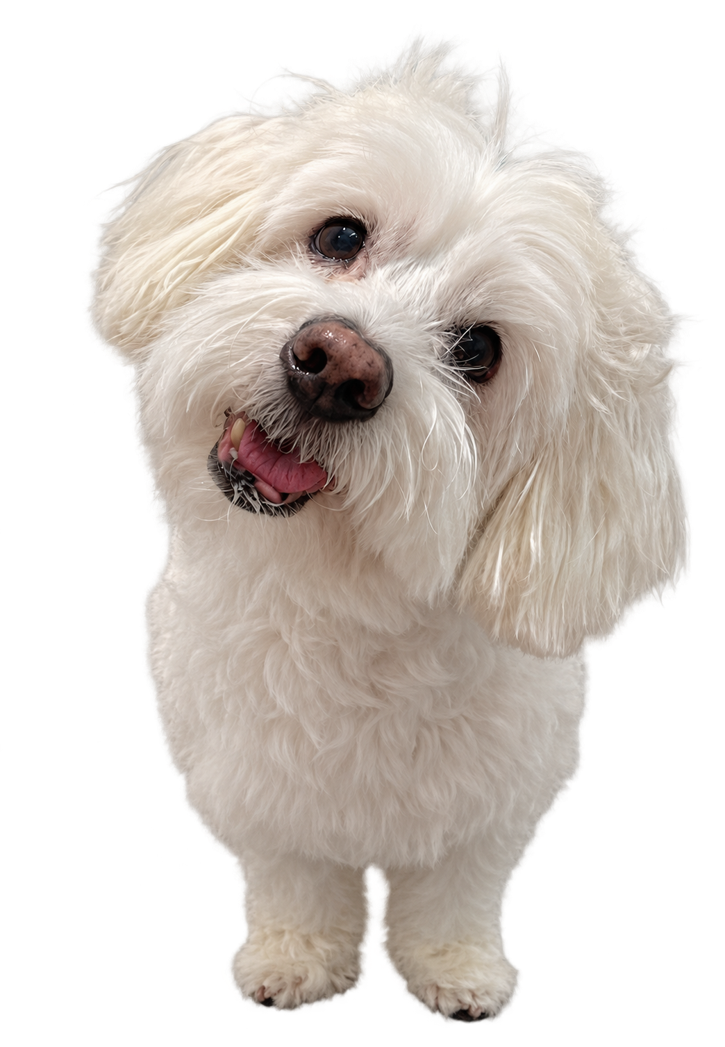 Fluffy